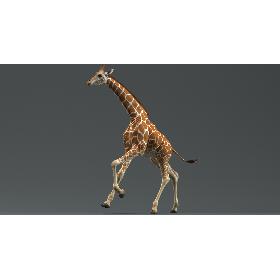 Giraffe (Animated) 3D model
